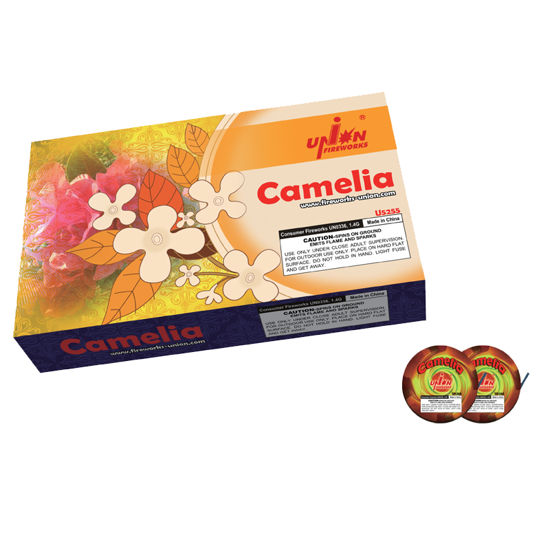 Camelia